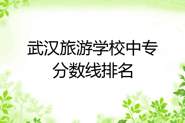武汉旅游学校中专分数线排名