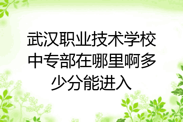 武汉职业技术学校中专部在哪里啊多少分能进入