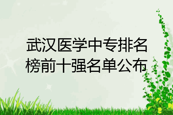 武汉医学中专排名榜前十强名单公布