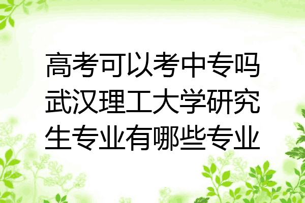 高考可以考中专吗武汉理工大学研究生专业有哪些专业