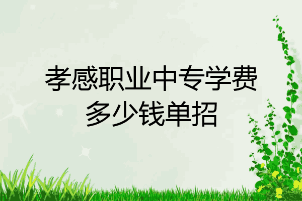 孝感职业中专学费多少钱单招