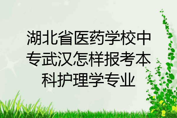 湖北省医药学校中专武汉怎样报考本科护理学专业