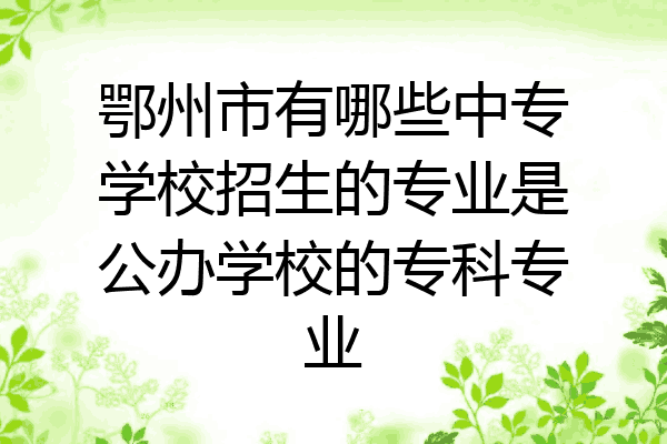 鄂州市有哪些中专学校招生的专业是公办学校的专科专业
