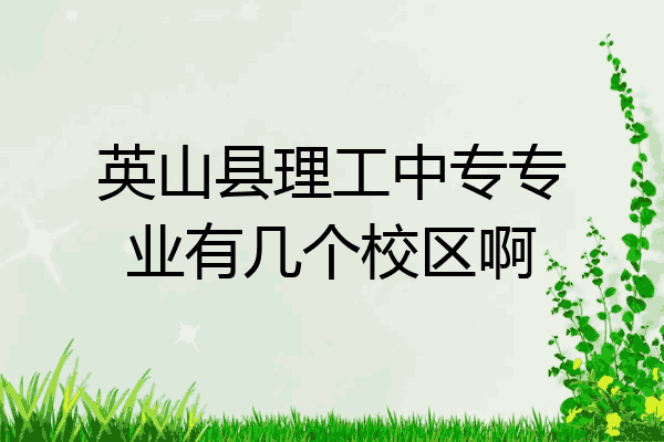 英山县理工中专专业有几个校区啊
