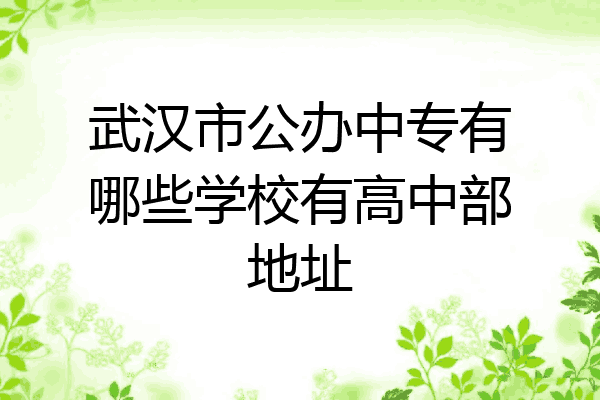 武汉市公办中专有哪些学校有高中部地址