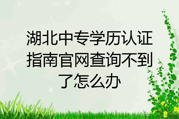 湖北中专学历认证指南官网查询不到了怎么办