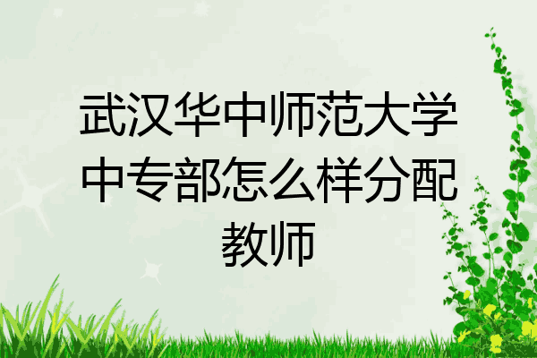 武汉华中师范大学中专部怎么样分配教师