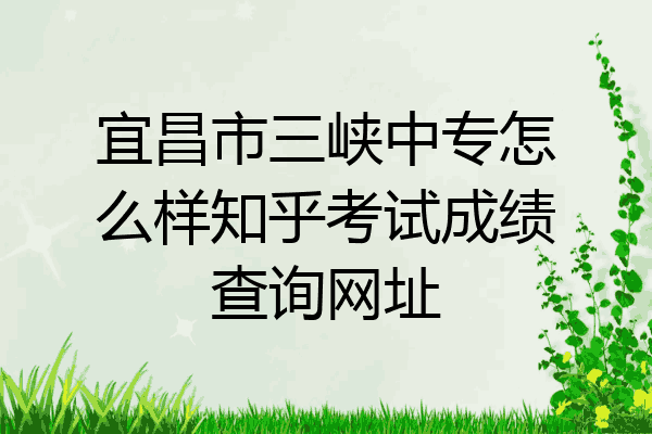 宜昌市三峡中专怎么样知乎考试成绩查询网址