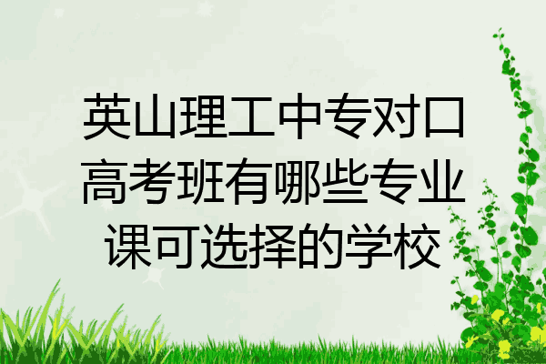 英山理工中专对口高考班有哪些专业课可选择的学校