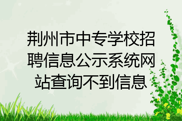 荆州市中专学校招聘信息公示系统网站查询不到信息