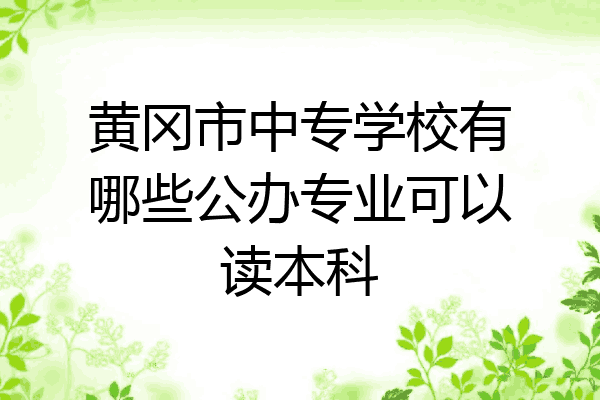 黄冈市中专学校有哪些公办专业可以读本科