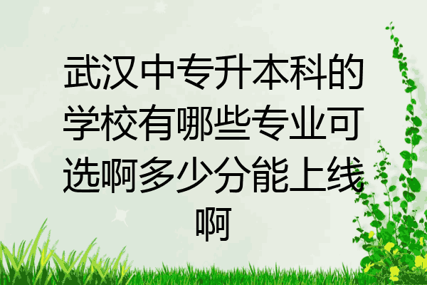 武汉中专升本科的学校有哪些专业可选啊多少分能上线啊