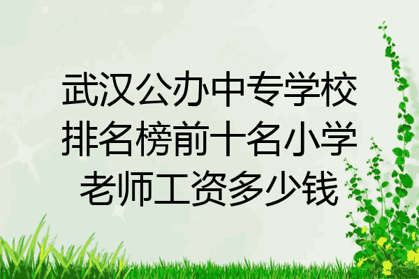 武汉公办中专学校排名榜前十名小学老师工资多少钱