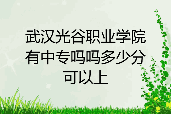 武汉光谷职业学院有中专吗吗多少分可以上