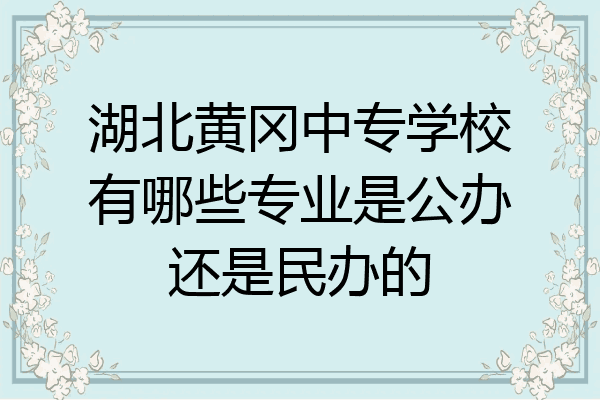 湖北黄冈中专学校有哪些专业是公办还是民办的