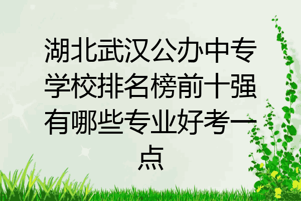 湖北武汉公办中专学校排名榜前十强有哪些专业好考一点