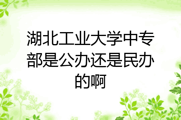 湖北工业大学中专部是公办还是民办的啊