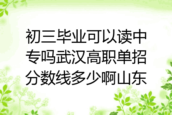 初三毕业可以读中专吗武汉高职单招分数线多少啊山东
