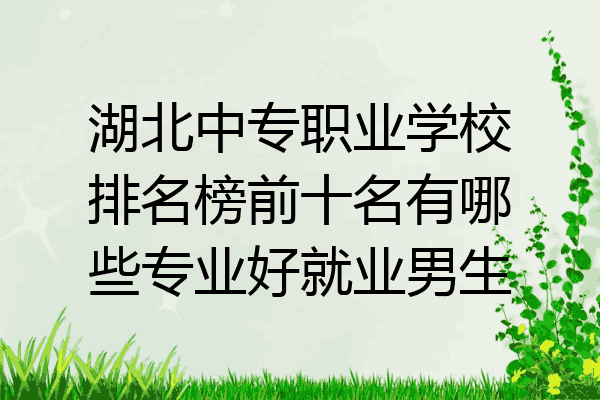 湖北中专职业学校排名榜前十名有哪些专业好就业男生