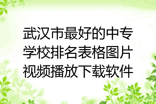 武汉市最好的中专学校排名表格图片视频播放下载软件