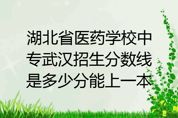 湖北省医药学校中专武汉招生分数线是多少分能上一本