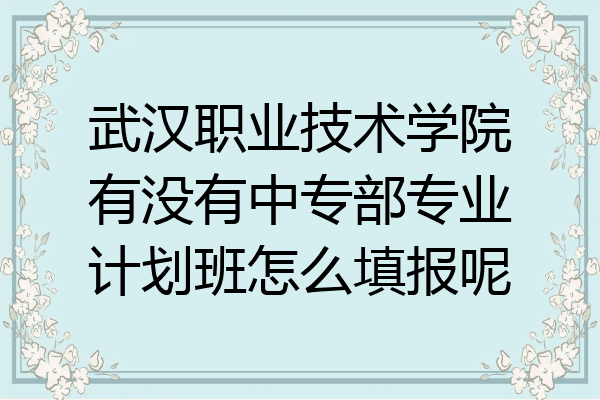 武汉职业技术学院有没有中专部专业计划班怎么填报呢
