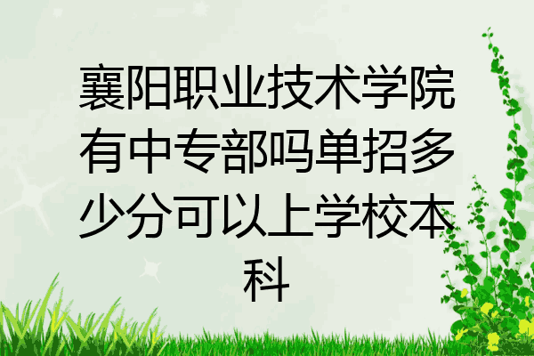襄阳职业技术学院有中专部吗单招多少分可以上学校本科