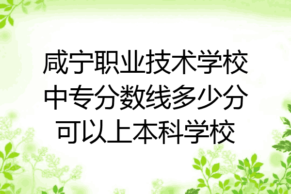 咸宁职业技术学校中专分数线多少分可以上本科学校