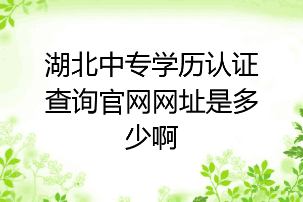 湖北中专学历认证查询官网网址是多少啊