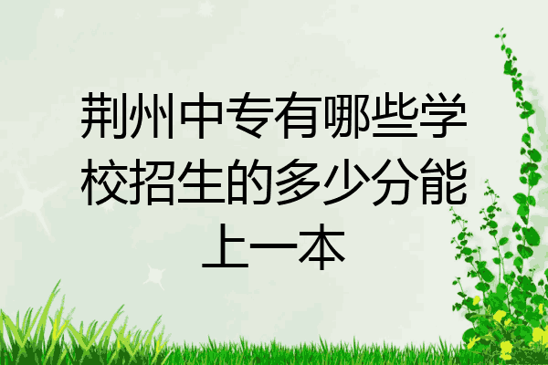 荆州中专有哪些学校招生的多少分能上一本