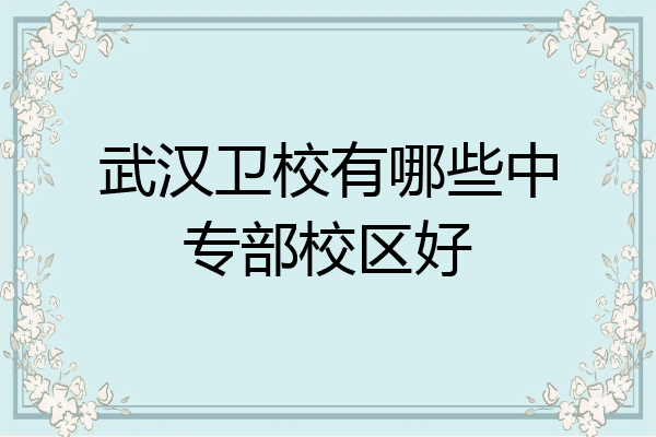 武汉卫校有哪些中专部校区好