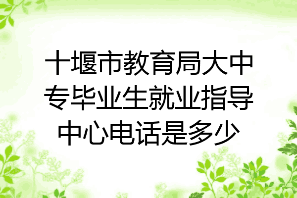 十堰市教育局大中专毕业生就业指导中心电话是多少