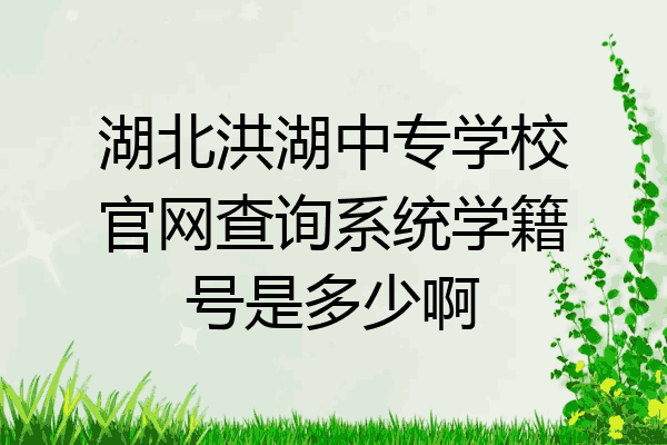 湖北洪湖中专学校官网查询系统学籍号是多少啊