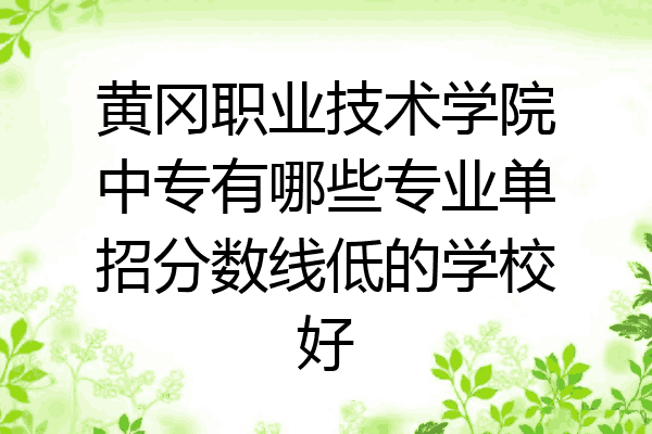 黄冈职业技术学院中专有哪些专业单招分数线低的学校好
