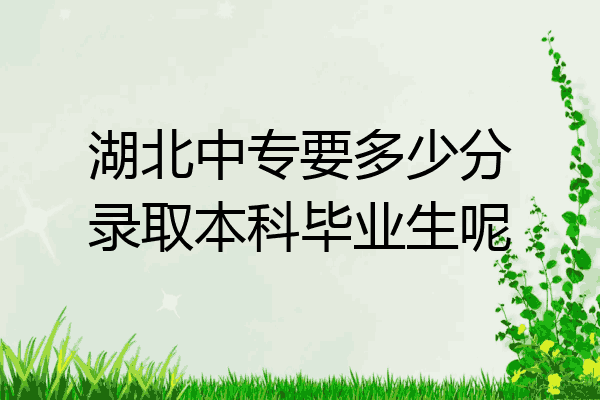 湖北中专要多少分录取本科毕业生呢