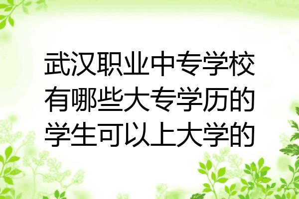 武汉职业中专学校有哪些大专学历的学生可以上大学的