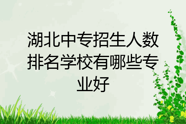 湖北中专招生人数排名学校有哪些专业好