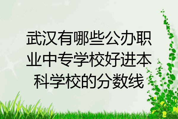 武汉有哪些公办职业中专学校好进本科学校的分数线