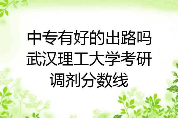 中专有好的出路吗武汉理工大学考研调剂分数线
