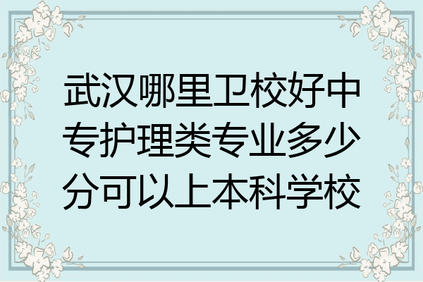 武汉哪里卫校好中专护理类专业多少分可以上本科学校