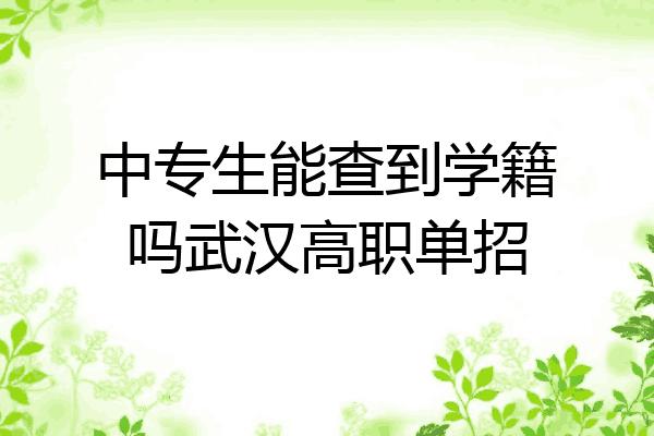 中专生能查到学籍吗武汉高职单招
