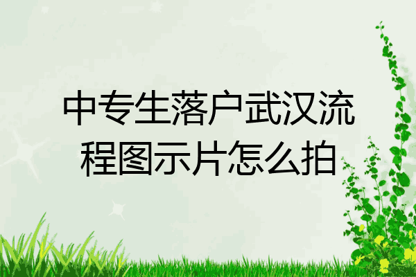 中专生落户武汉流程图示片怎么拍