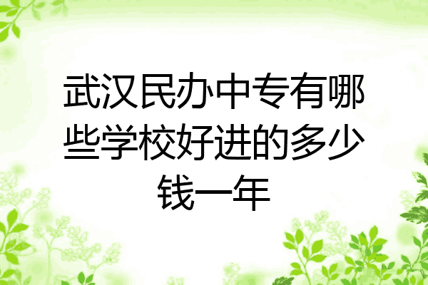 武汉民办中专有哪些学校好进的多少钱一年