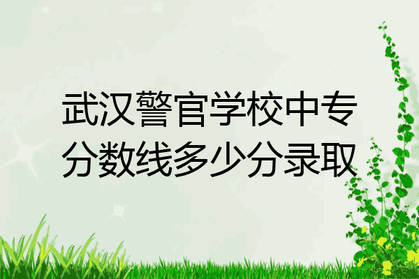 武汉警官学校中专分数线多少分录取