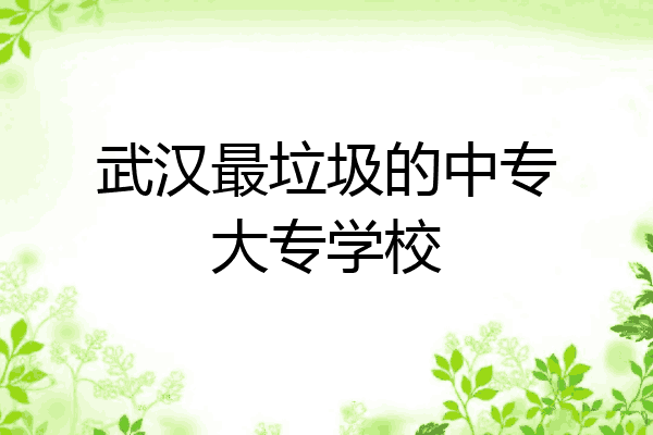 武汉最垃圾的中专大专学校