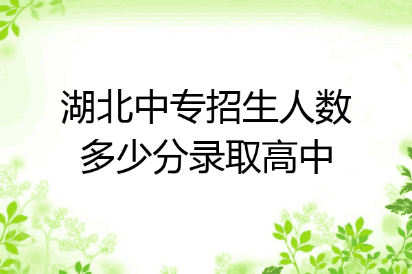 湖北中专招生人数多少分录取高中