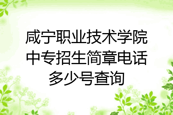 咸宁职业技术学院中专招生简章电话多少号查询