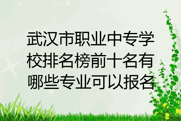 武汉市职业中专学校排名榜前十名有哪些专业可以报名