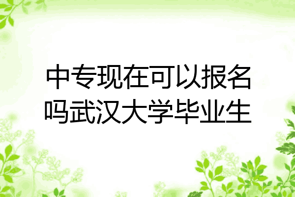 中专现在可以报名吗武汉大学毕业生