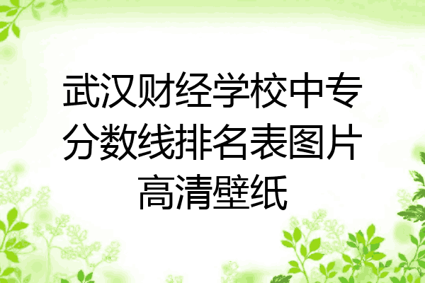 武汉财经学校中专分数线排名表图片高清壁纸